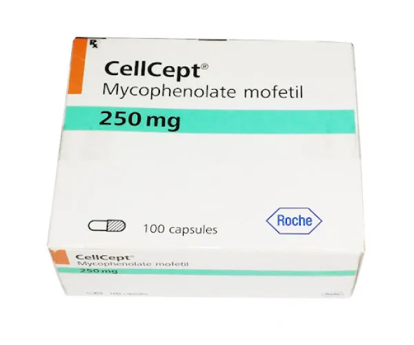 Thuốc chống thải ghép Cellcept 250mg hộp 100 viên