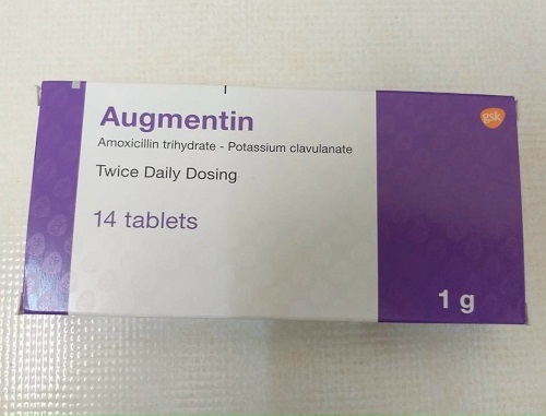 Thuốc kháng sinh Augmentin 1g 14 viên